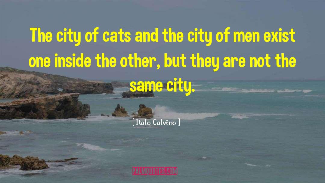 Destroy City Simulator quotes by Italo Calvino