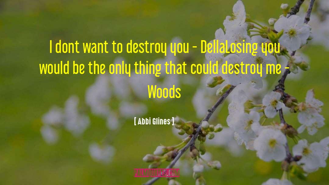 Destroy City Simulator quotes by Abbi Glines
