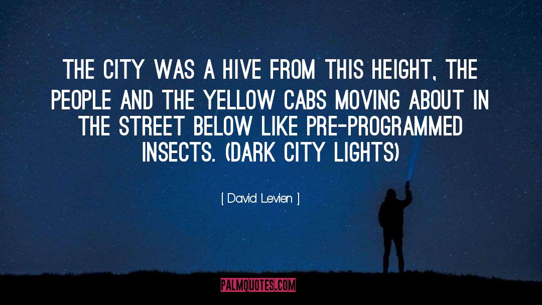 Destroy City Simulator quotes by David Levien