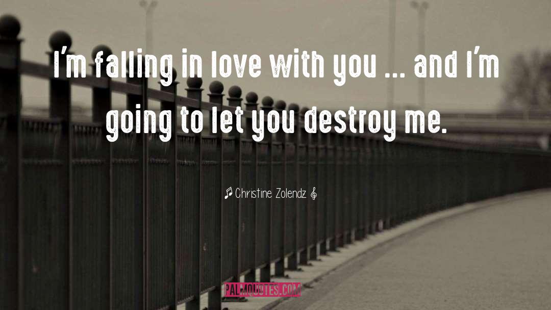 Destroy Me quotes by Christine Zolendz