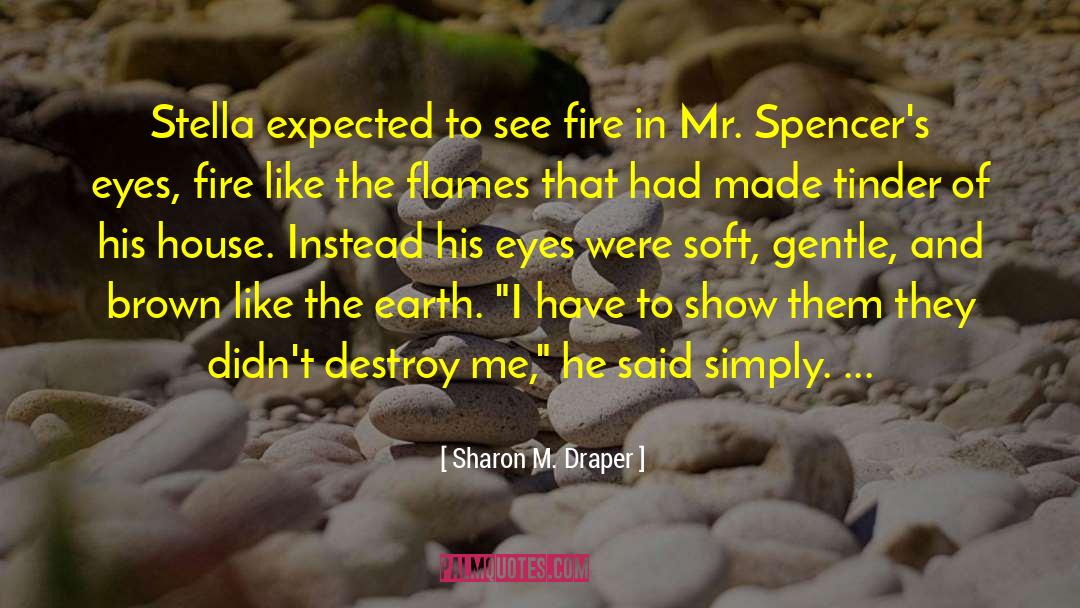 Destroy Me quotes by Sharon M. Draper