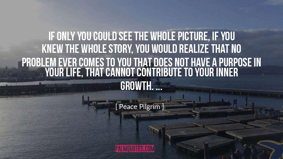 Destroy Your Inner Peace quotes by Peace Pilgrim
