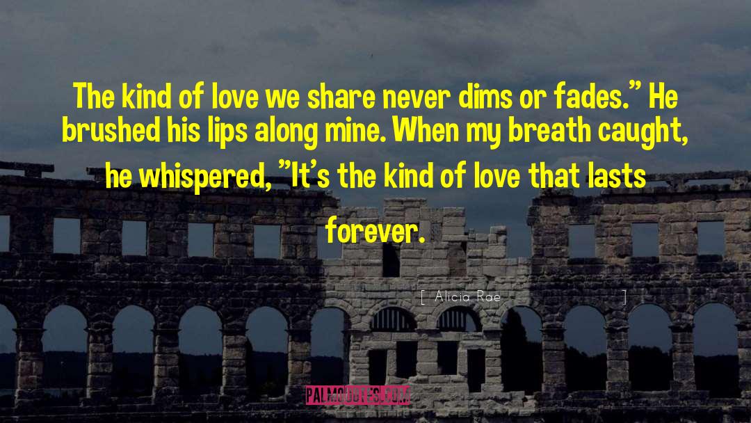 Destroyed Love quotes by Alicia Rae