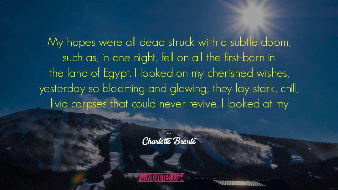 Destroyed Love quotes by Charlotte Bronte