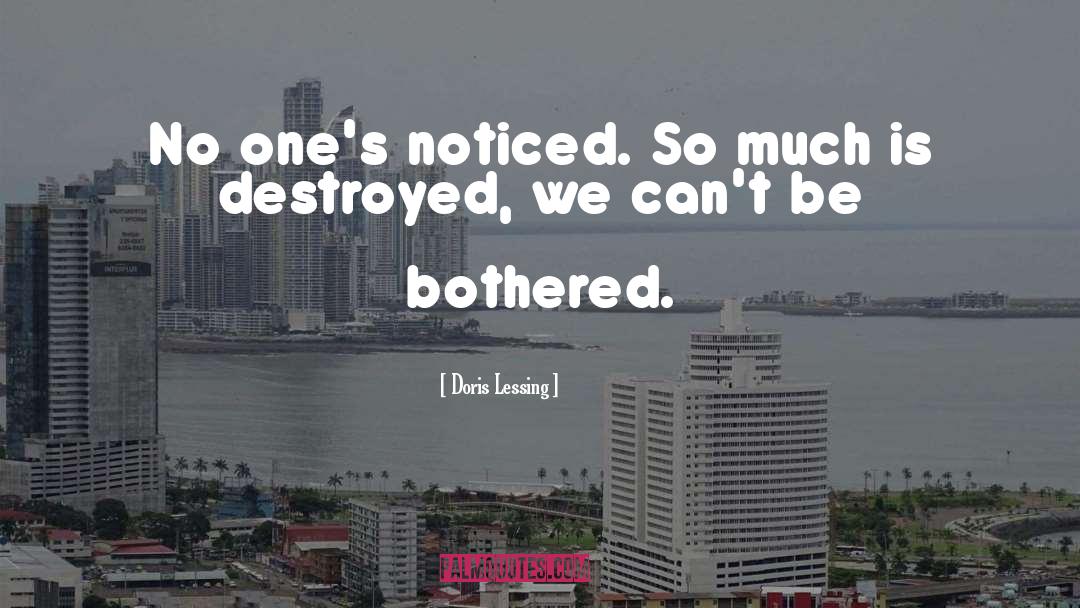 Destroyed quotes by Doris Lessing