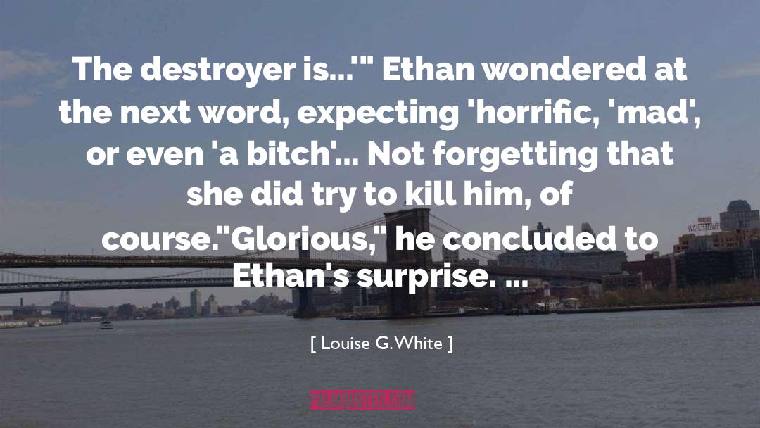 Destroyer quotes by Louise G. White