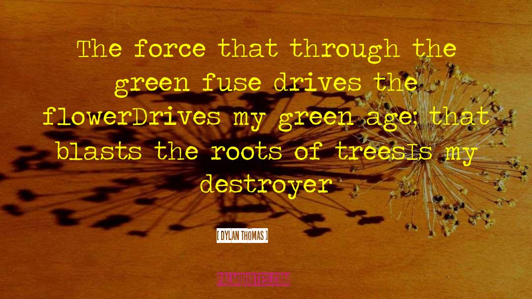 Destroyer quotes by Dylan Thomas