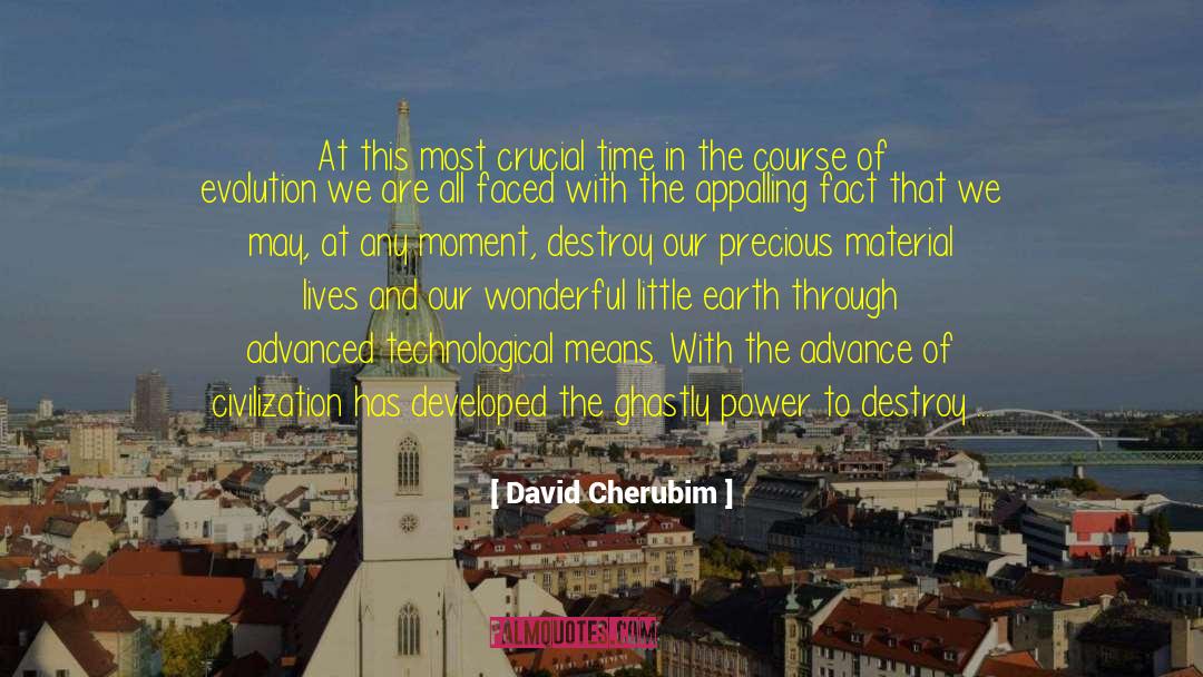 Destroying Ourselves quotes by David Cherubim