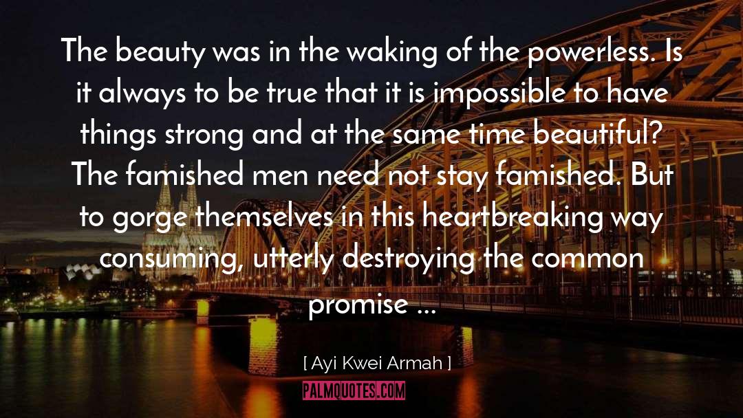 Destroying Ourselves quotes by Ayi Kwei Armah