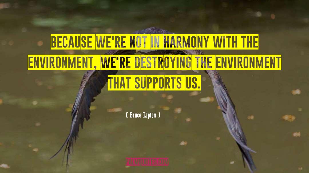 Destroying The Environment quotes by Bruce Lipton