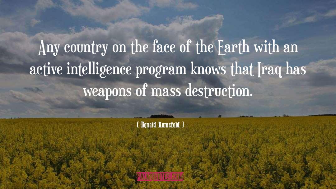 Destruction quotes by Donald Rumsfeld