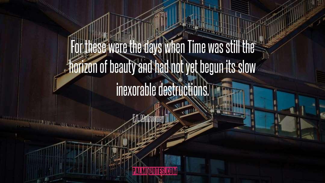 Destructions quotes by J. Mulrooney