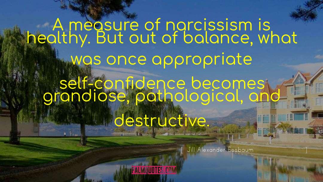 Destructive Abundance quotes by Jill Alexander Essbaum
