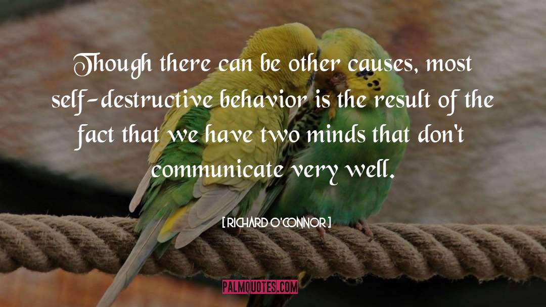 Destructive Behavior quotes by Richard O'Connor