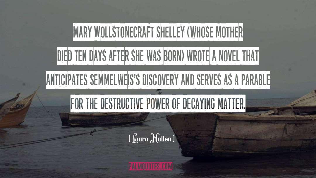 Destructive Groove quotes by Laura Mullen