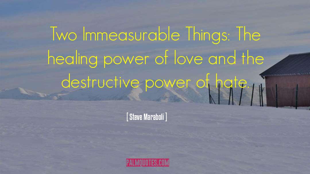 Destructive Power quotes by Steve Maraboli