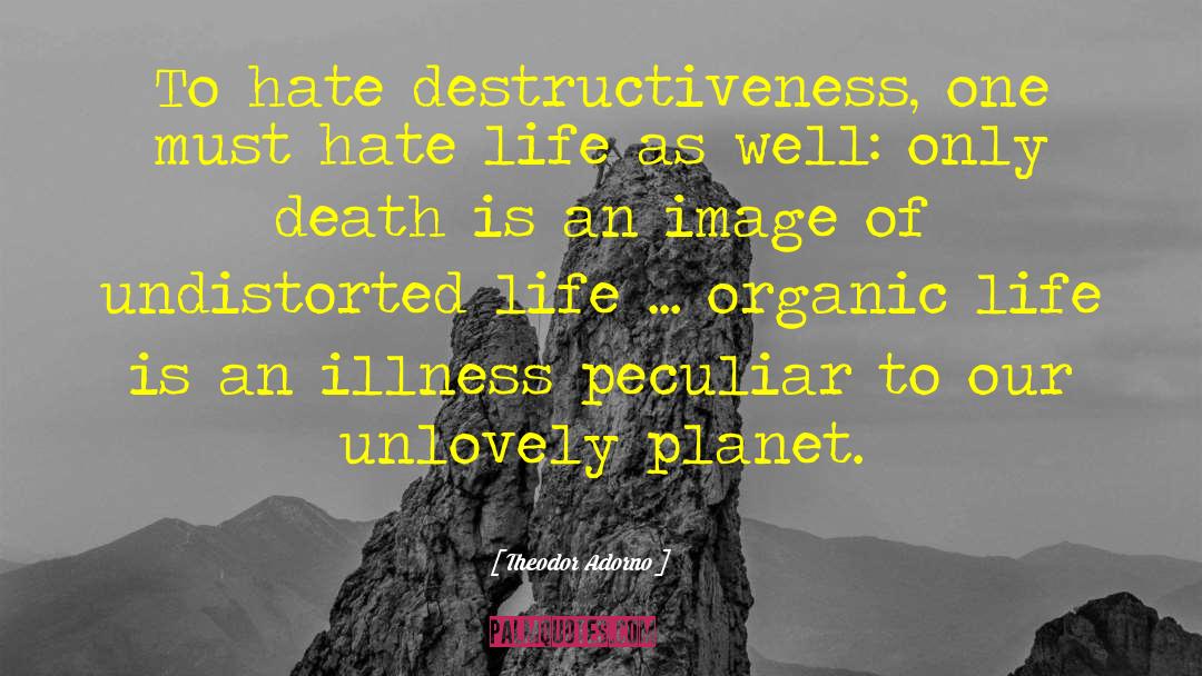 Destructiveness quotes by Theodor Adorno