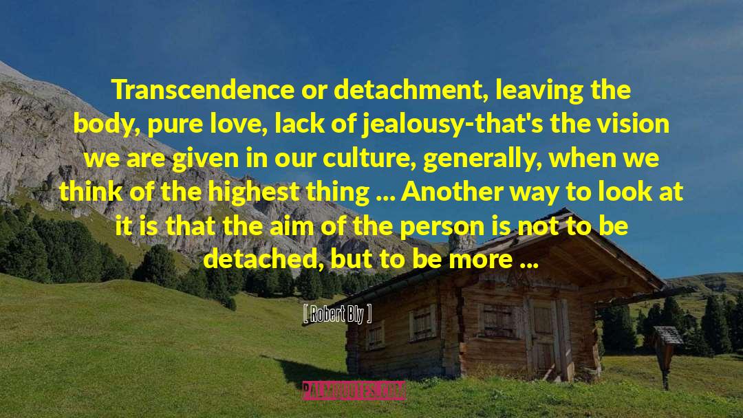 Detached Observer quotes by Robert Bly