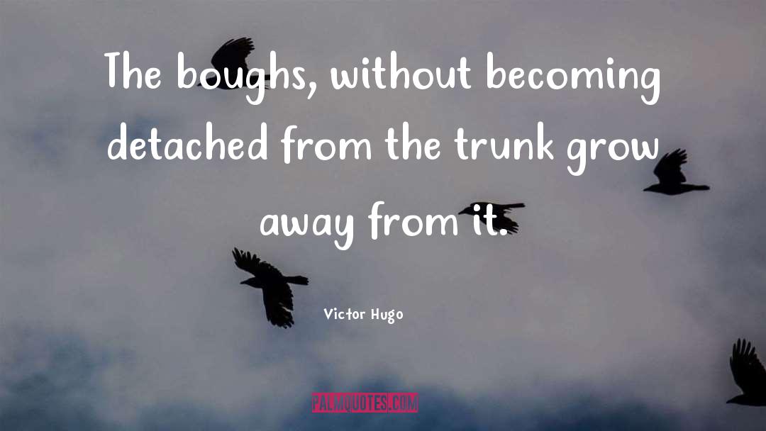 Detached quotes by Victor Hugo