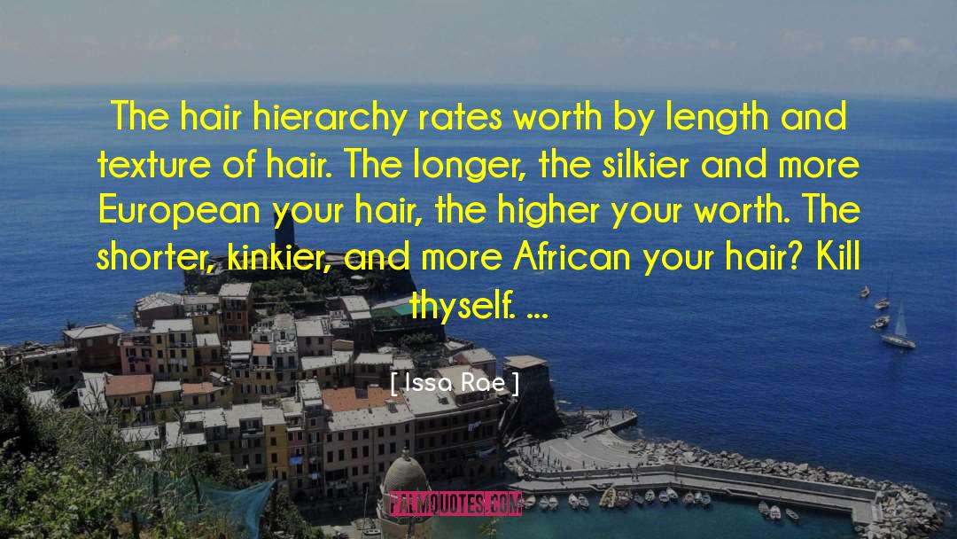 Detangler Hair quotes by Issa Rae