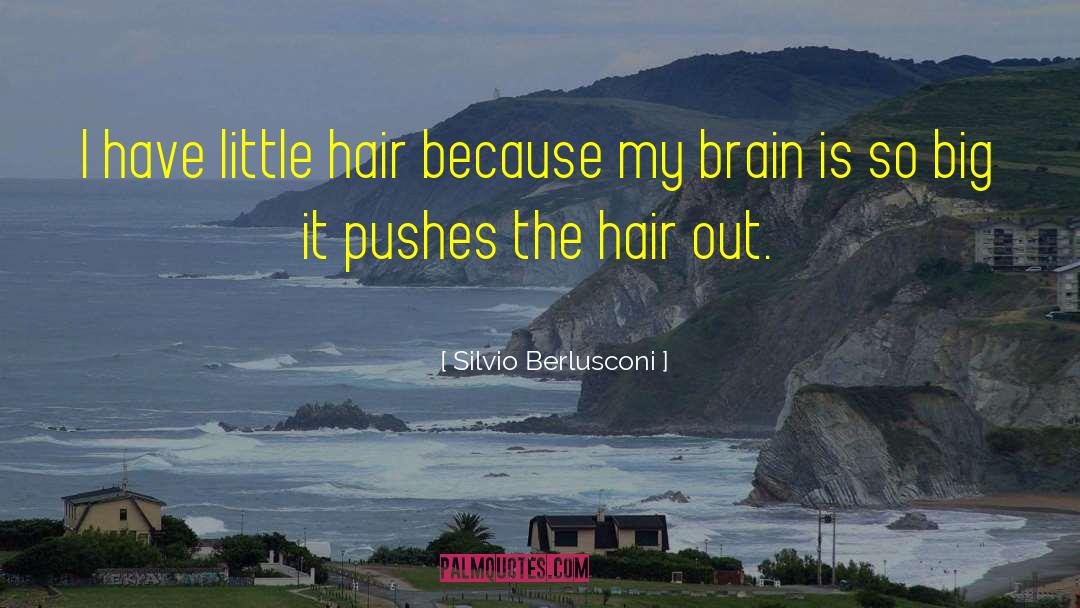 Detangler Hair quotes by Silvio Berlusconi