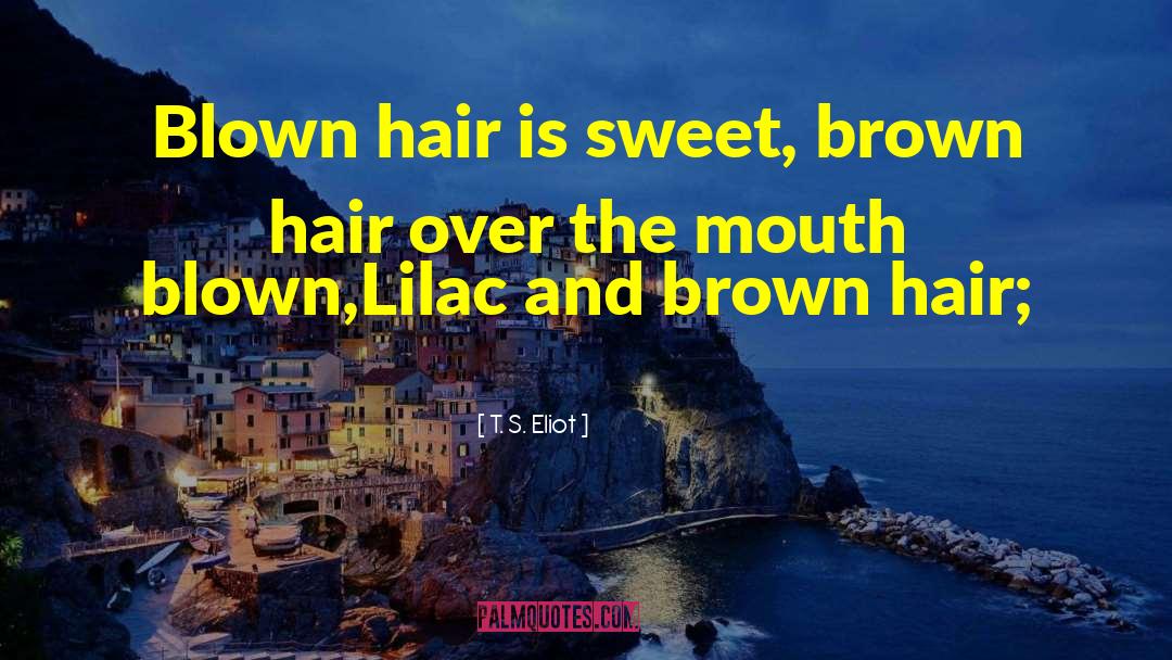 Detangler Hair quotes by T. S. Eliot