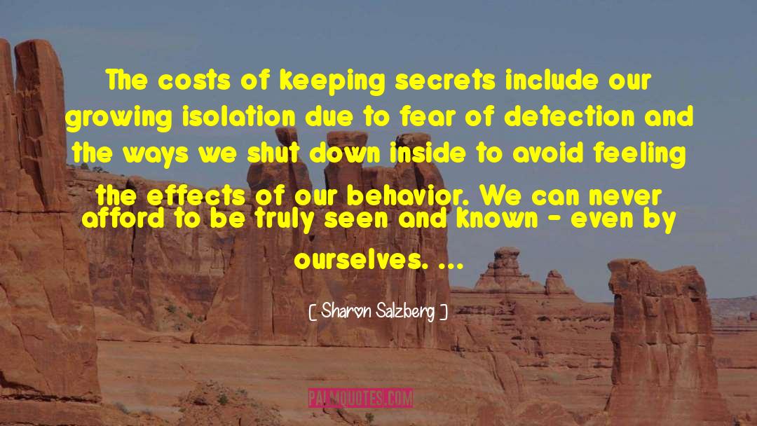 Detection quotes by Sharon Salzberg