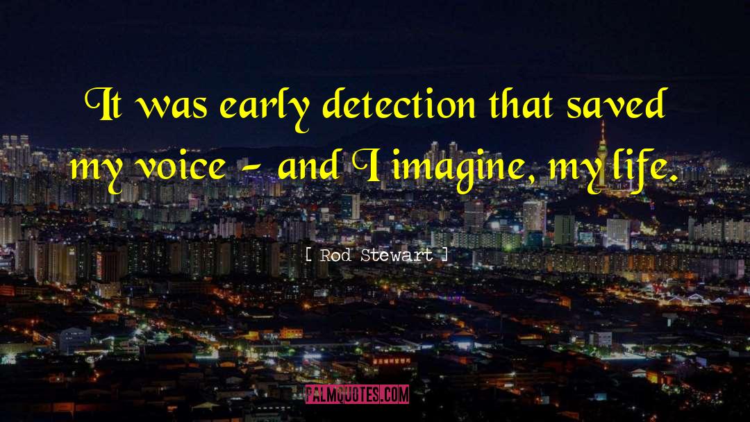 Detection quotes by Rod Stewart