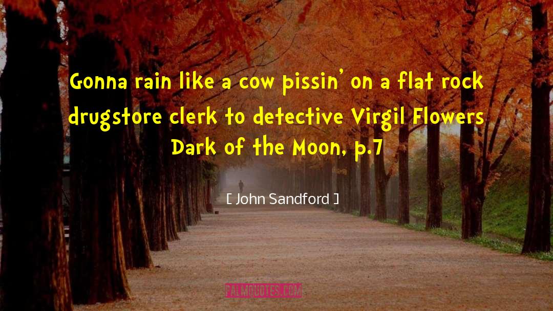 Detective Comic quotes by John Sandford