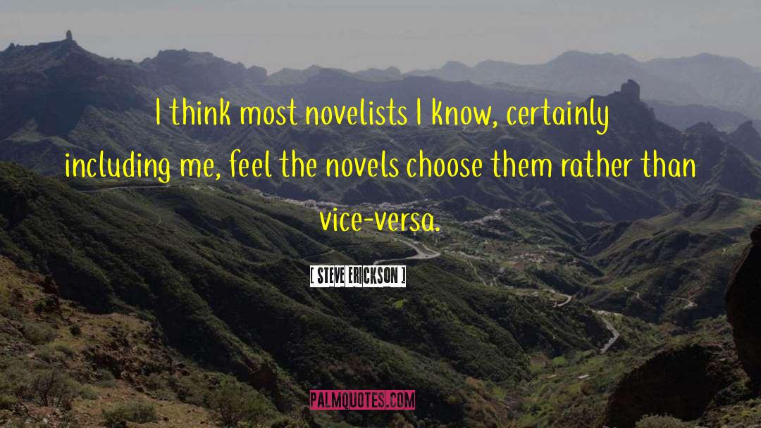 Detective Novels quotes by Steve Erickson