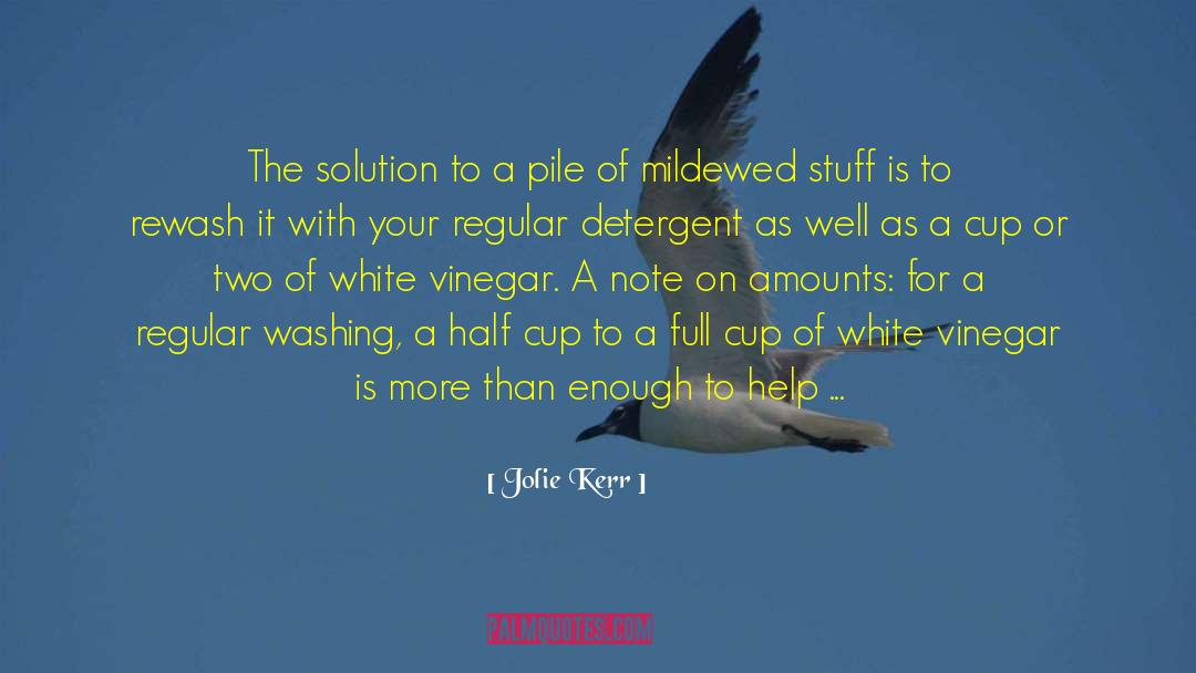 Detergent quotes by Jolie Kerr