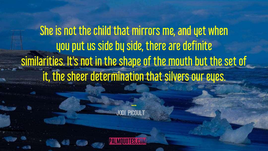 Determination And Persistence quotes by Jodi Picoult