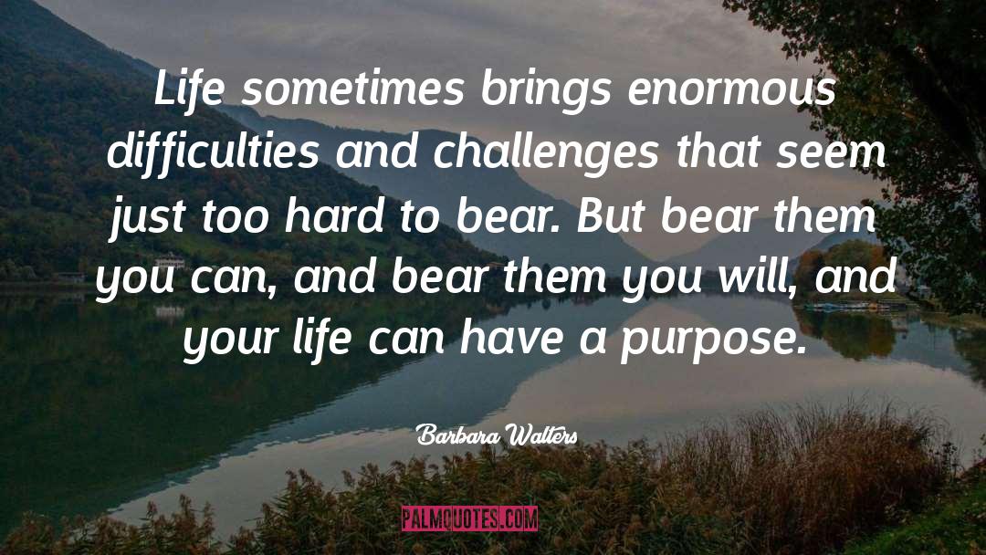 Determination And Purpose quotes by Barbara Walters