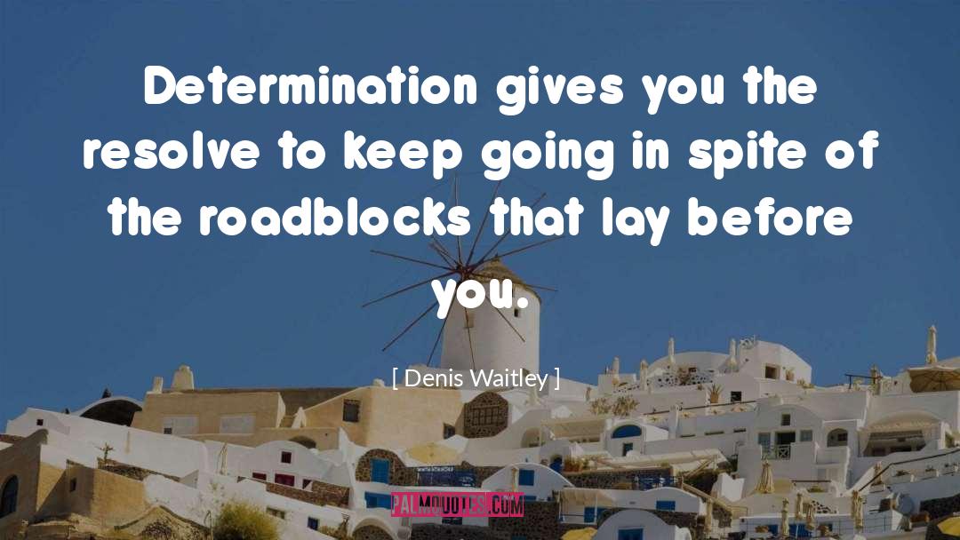 Determination quotes by Denis Waitley