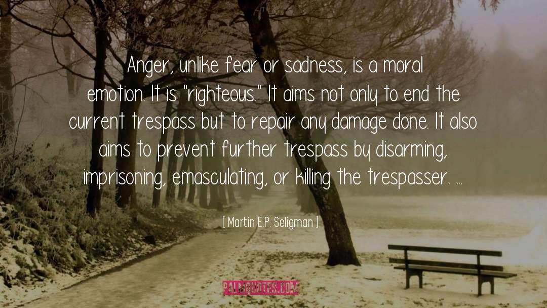 Determination Righteous Anger quotes by Martin E.P. Seligman
