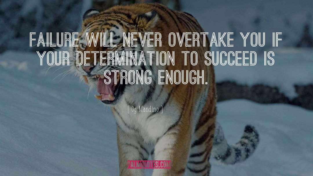 Determination To Succeed quotes by Og Mandino