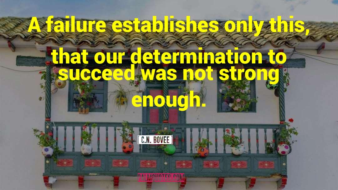 Determination To Succeed quotes by C.N. Bovee