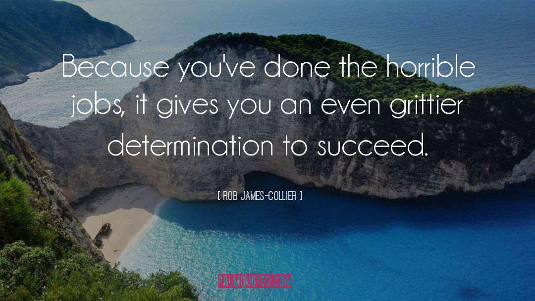 Determination To Succeed quotes by Rob James-Collier
