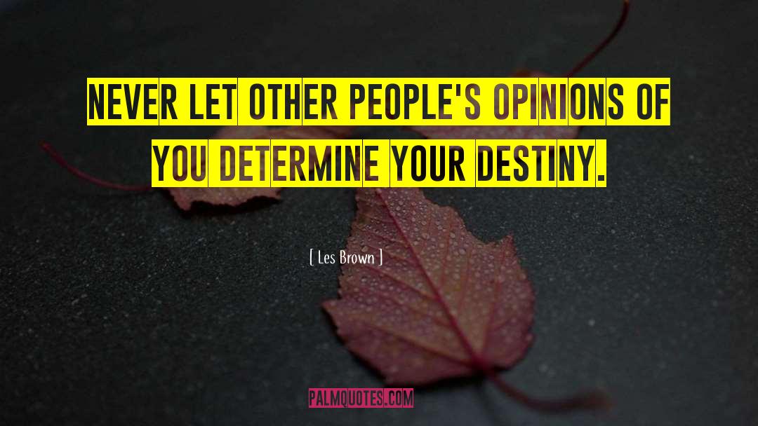 Determine Your Destiny quotes by Les Brown