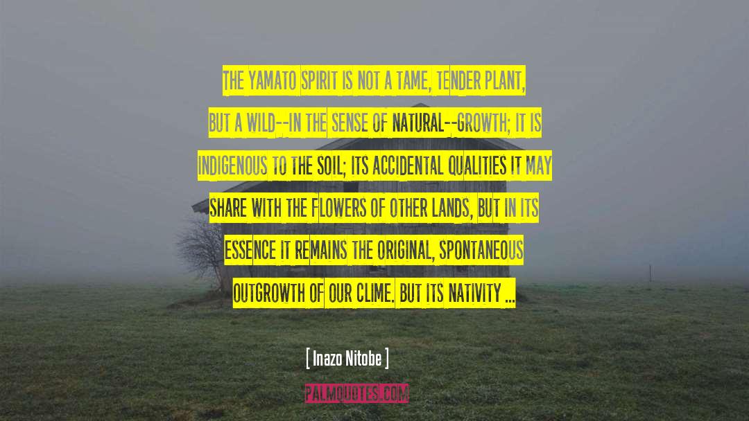 Determined Spiritmined Spirit quotes by Inazo Nitobe