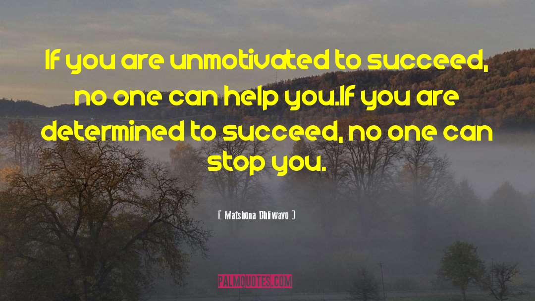 Determined To Succeed quotes by Matshona Dhliwayo