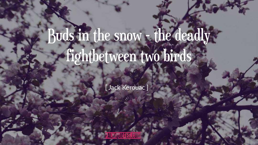 Detracting Birds quotes by Jack Kerouac