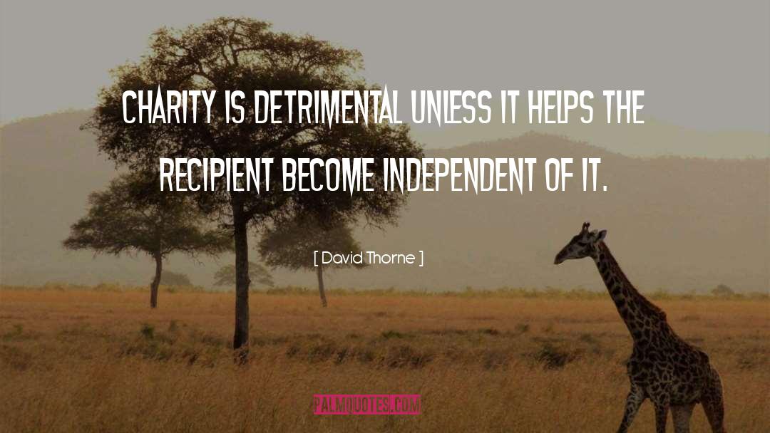 Detrimental quotes by David Thorne