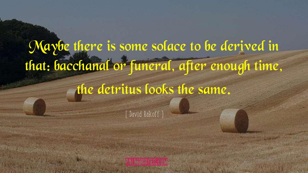 Detritus quotes by David Rakoff