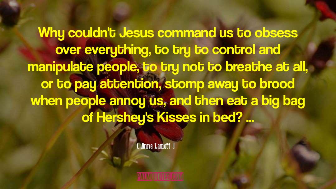 Detweiler Hershey quotes by Anne Lamott