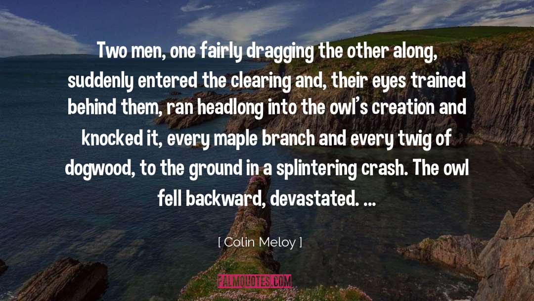 Devastated quotes by Colin Meloy
