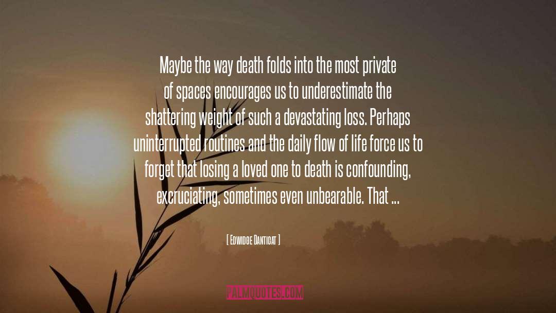 Devastating Loss quotes by Edwidge Danticat