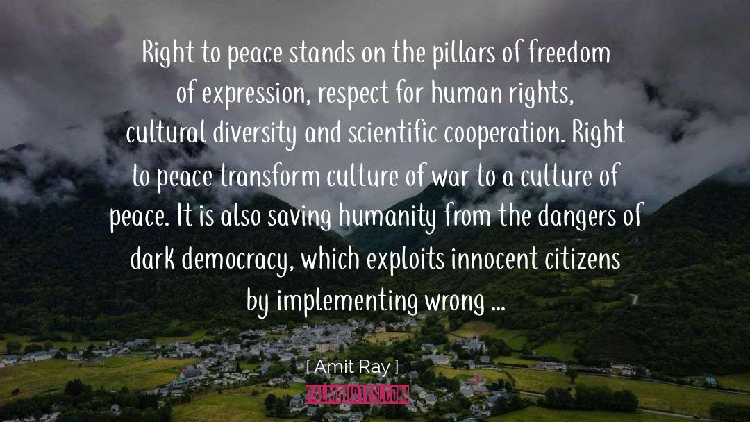 Developing Democracy quotes by Amit Ray