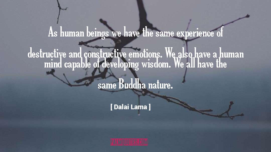 Developing Human quotes by Dalai Lama