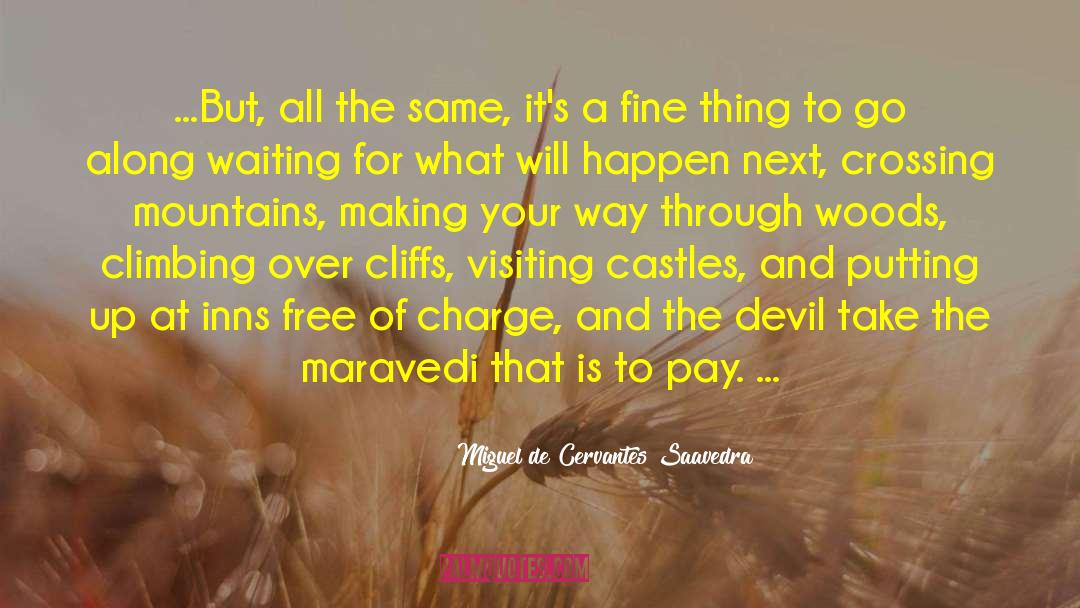 Devil Blush quotes by Miguel De Cervantes Saavedra